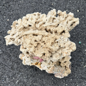 Dry Rock (Base) - per pound