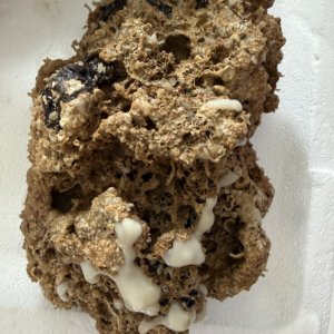 Live Rock (Flat) - per pound