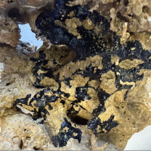 Live Rock (Base) - per pound